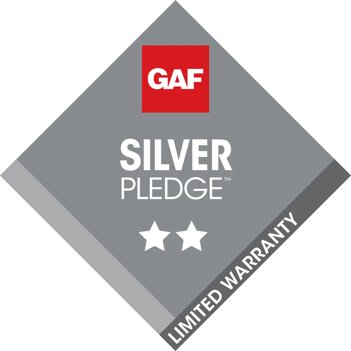 GAF Silver Pledge Badge